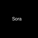 OpenAI Revela Sora: Un Avance en la Generación de Videos a Partir de Texto